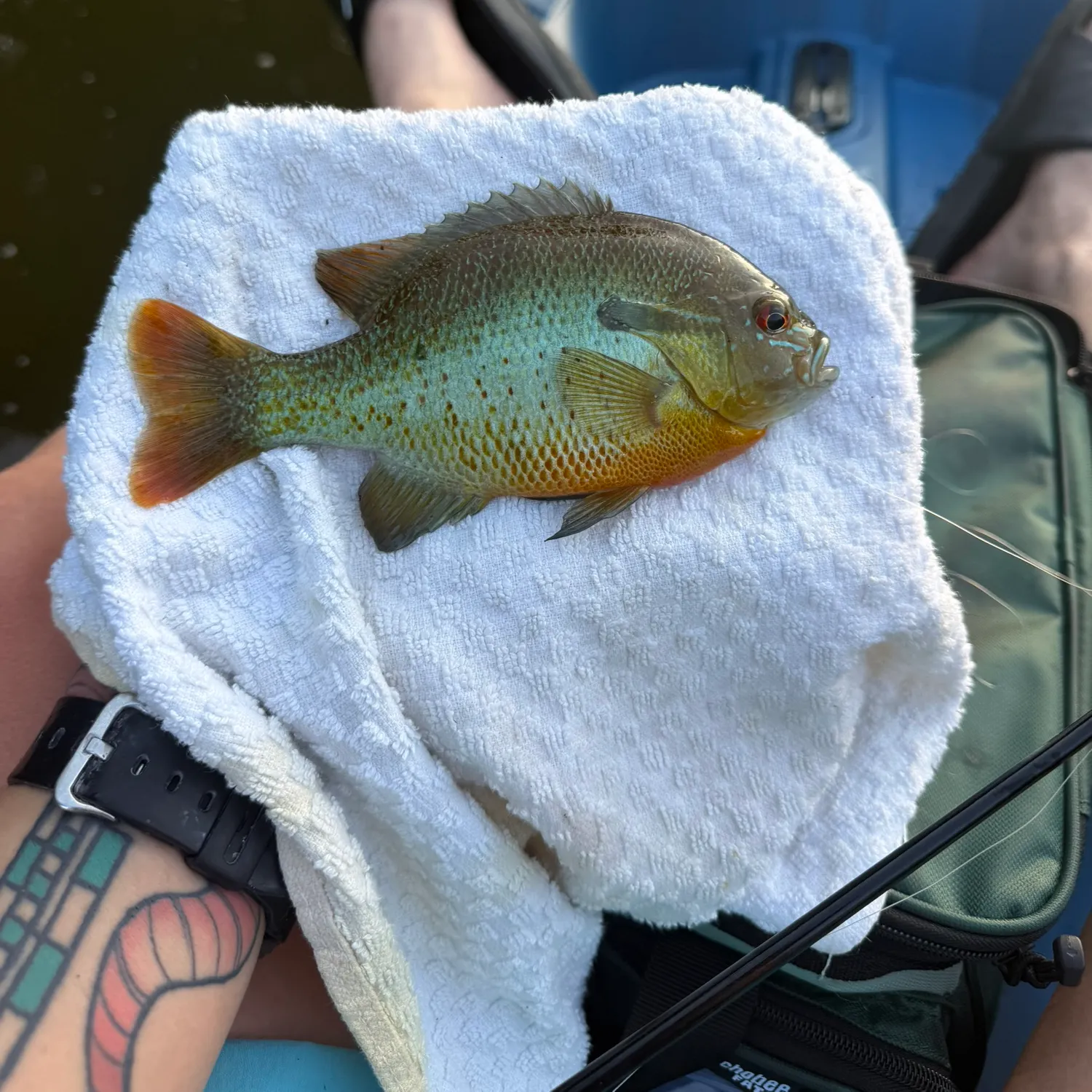 catch