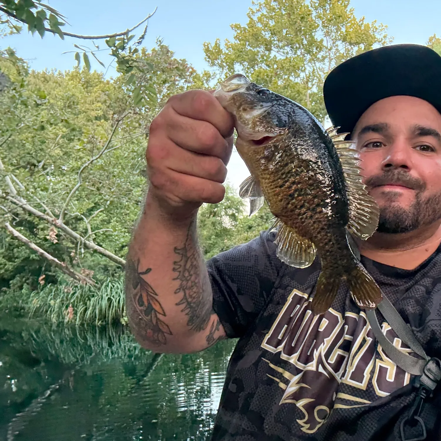 Warmouth caught on Fishbrain