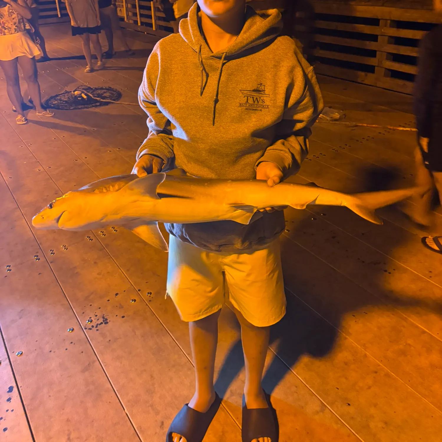 The most recent Oceanic whitetip shark catches on Fishbrain