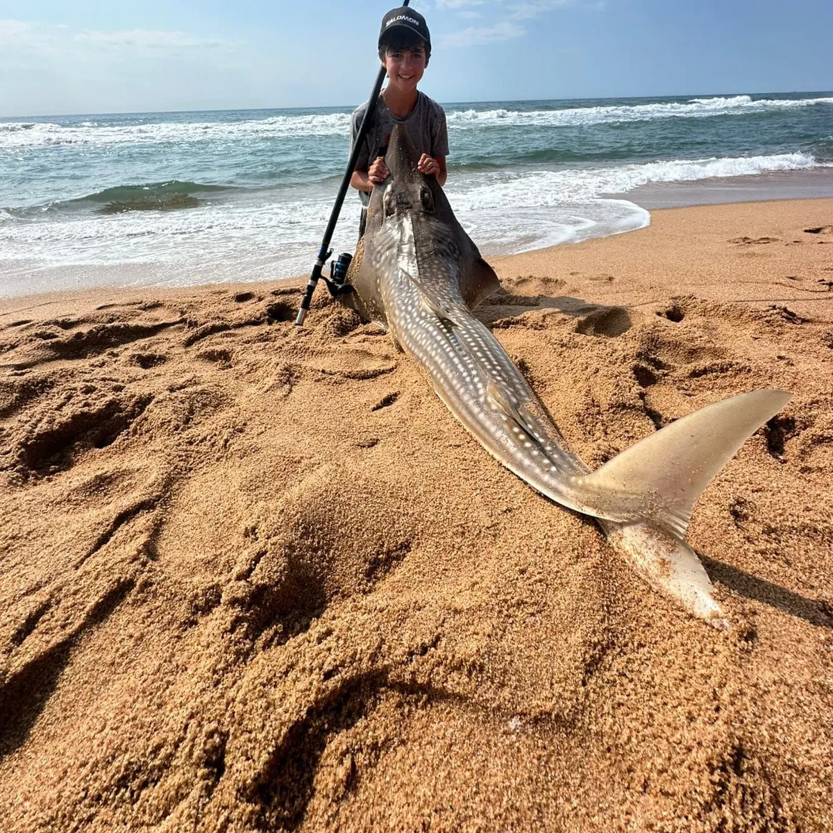 The most recent Giant guitarfish catches on Fishbrain