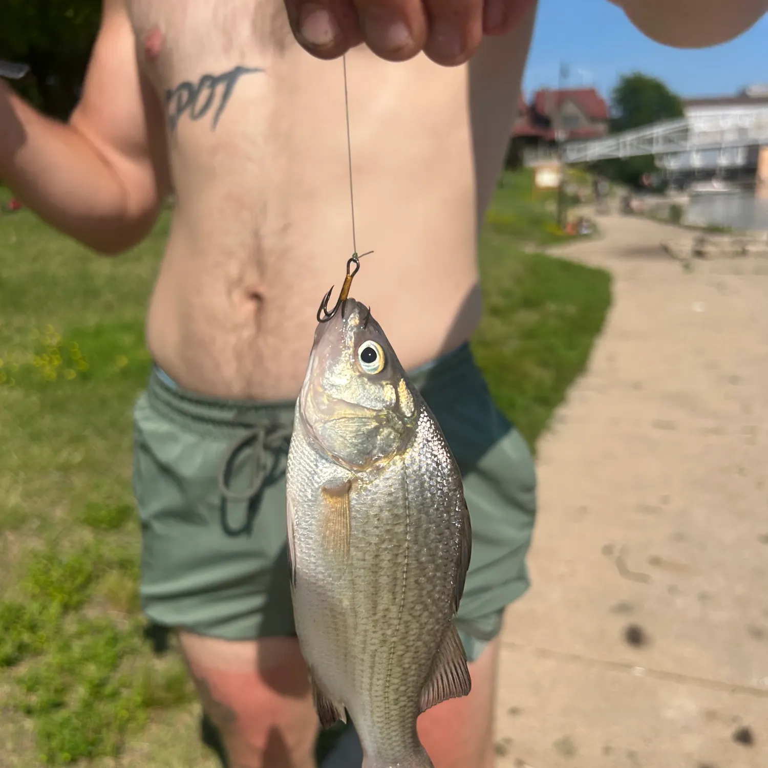 catch
