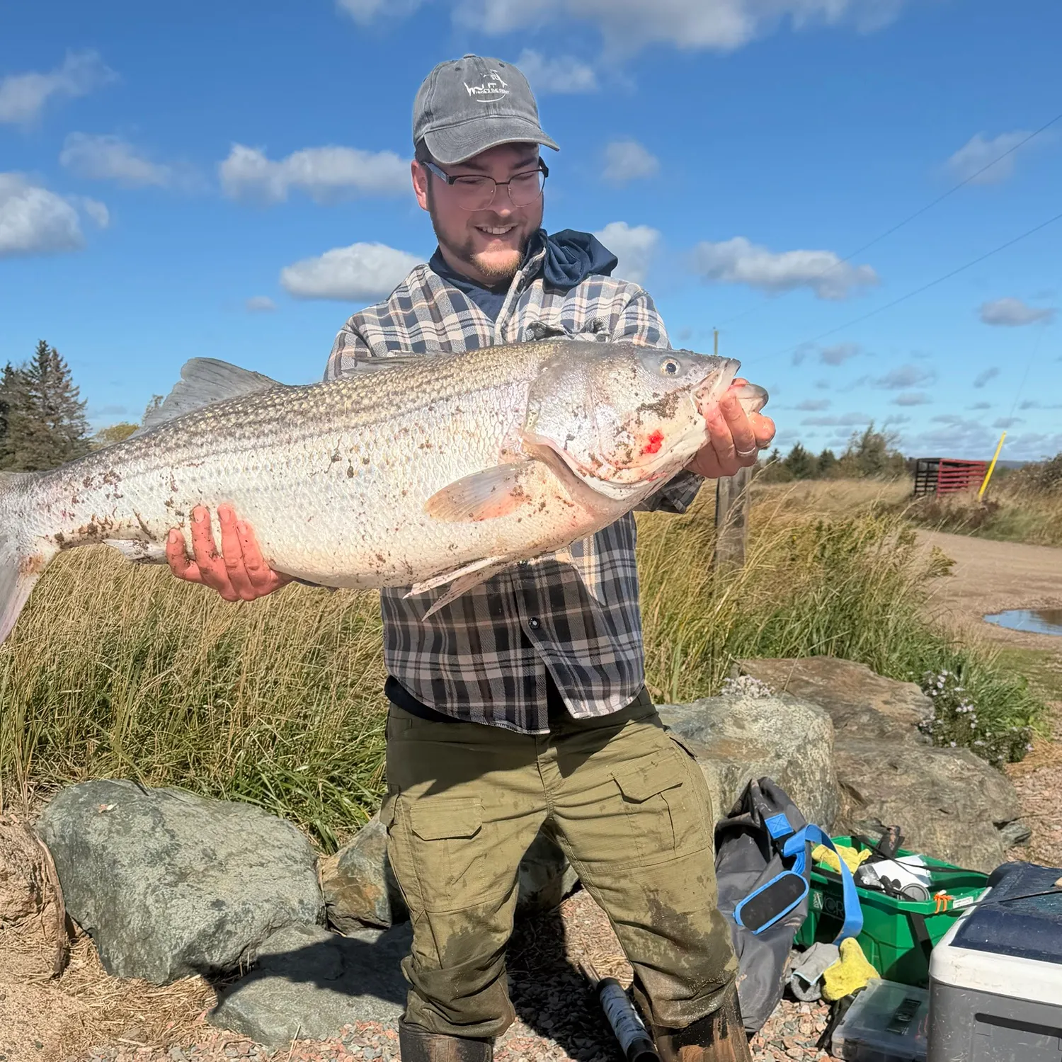 Striped bass caught on Fishbrain