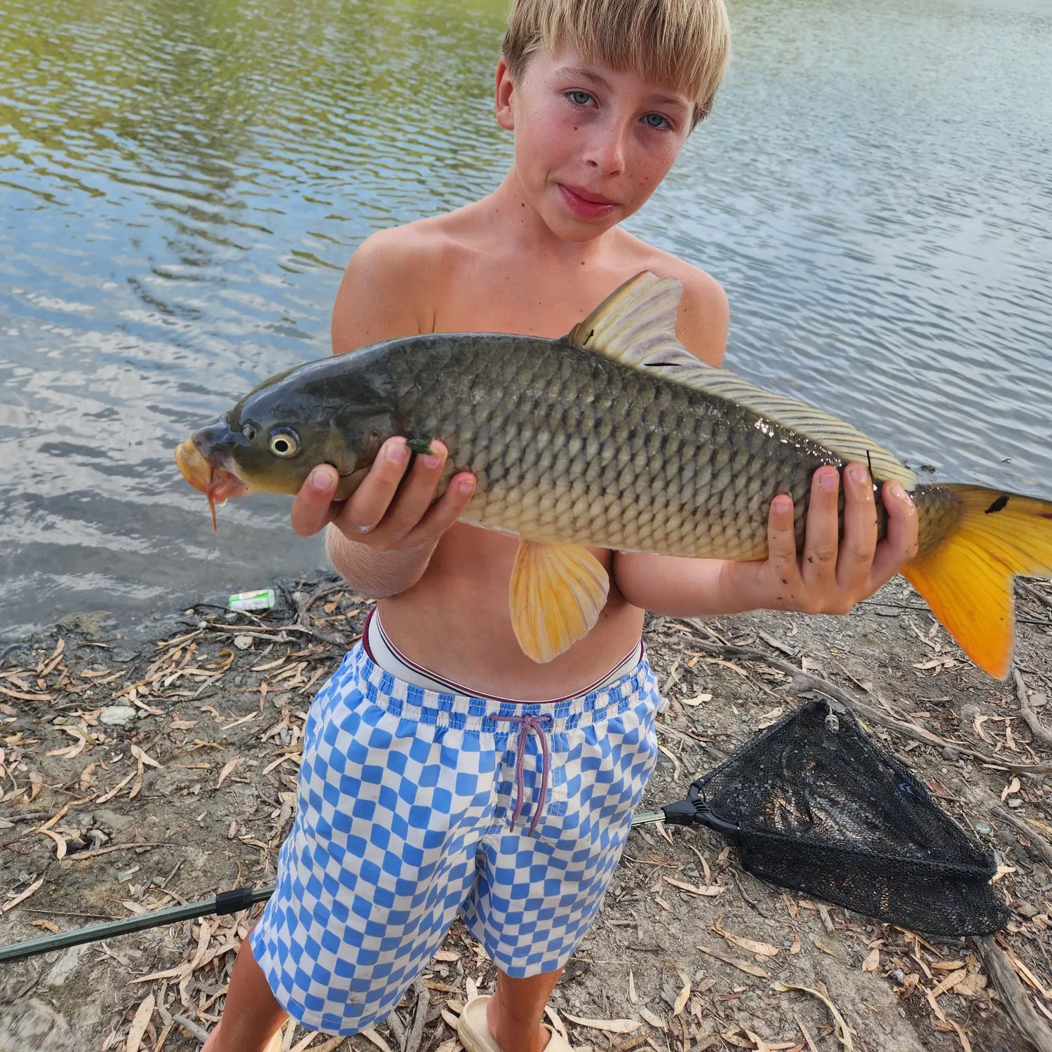 Common carp caught on Fishbrain