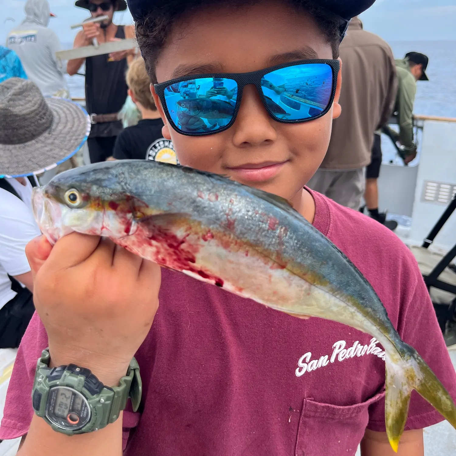California yellowtail amberjack caught on Fishbrain