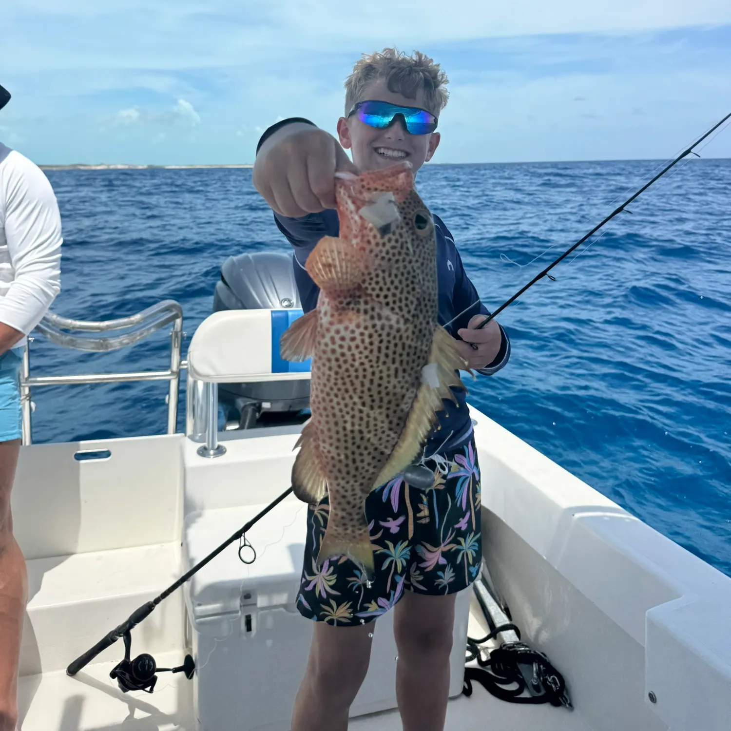 The most recent Strawberry hind catches on Fishbrain
