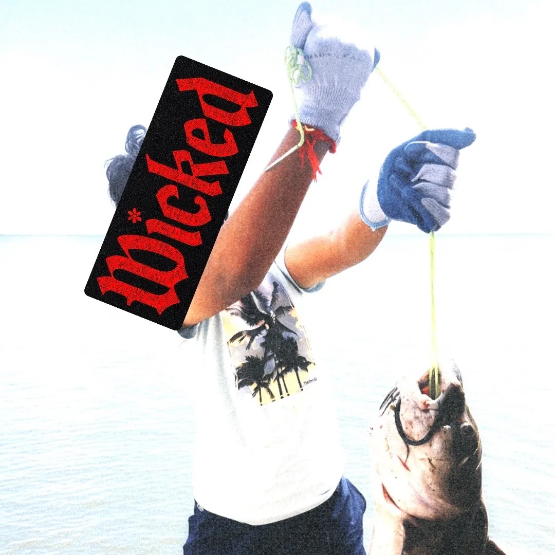 Black bullhead caught on Fishbrain