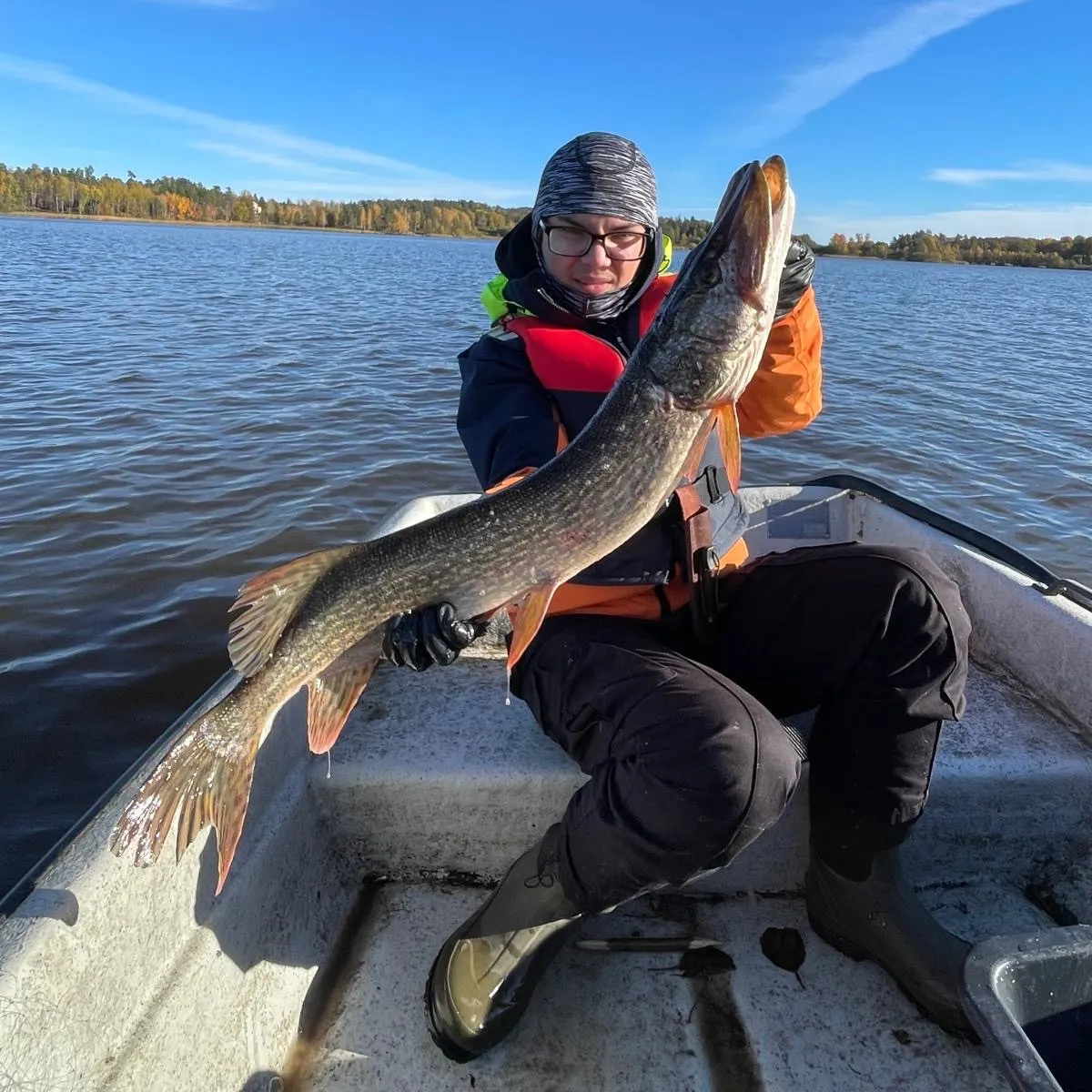 Northern pike caught on Fishbrain