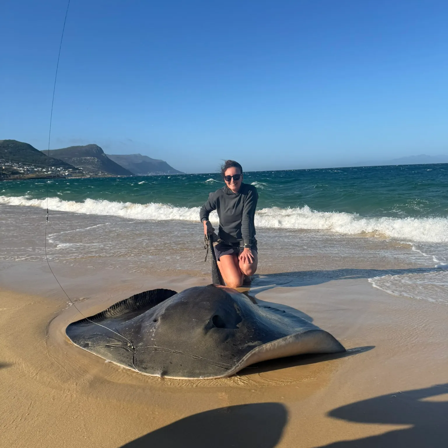 The most recent Short-tail stingray catches on Fishbrain