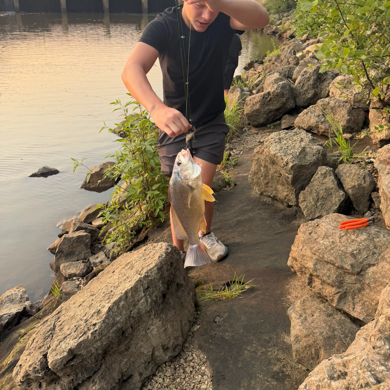 catch