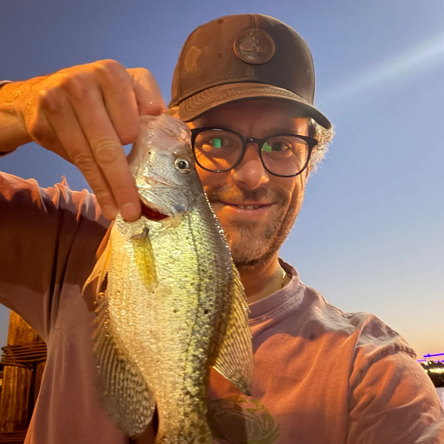 Black crappie caught on Fishbrain