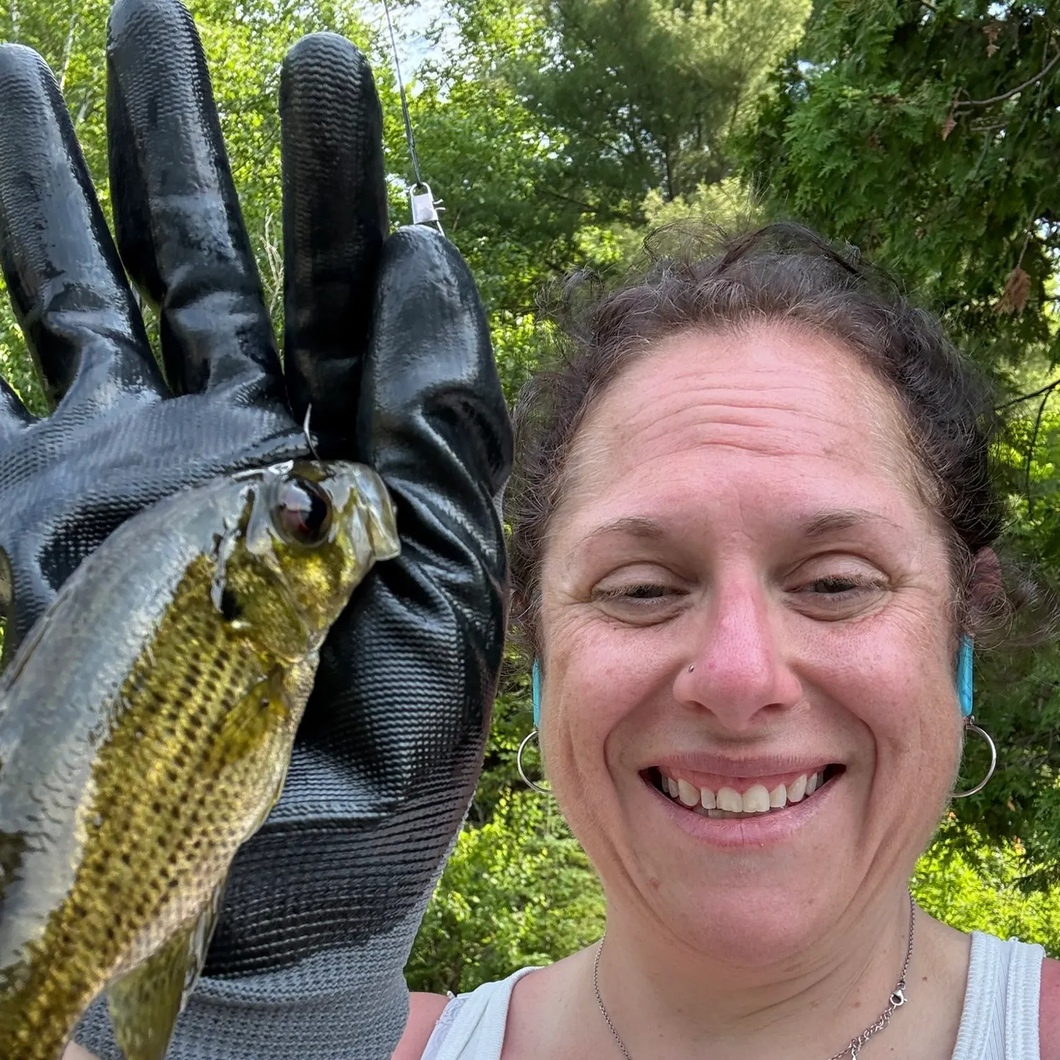 Rock bass caught on Fishbrain