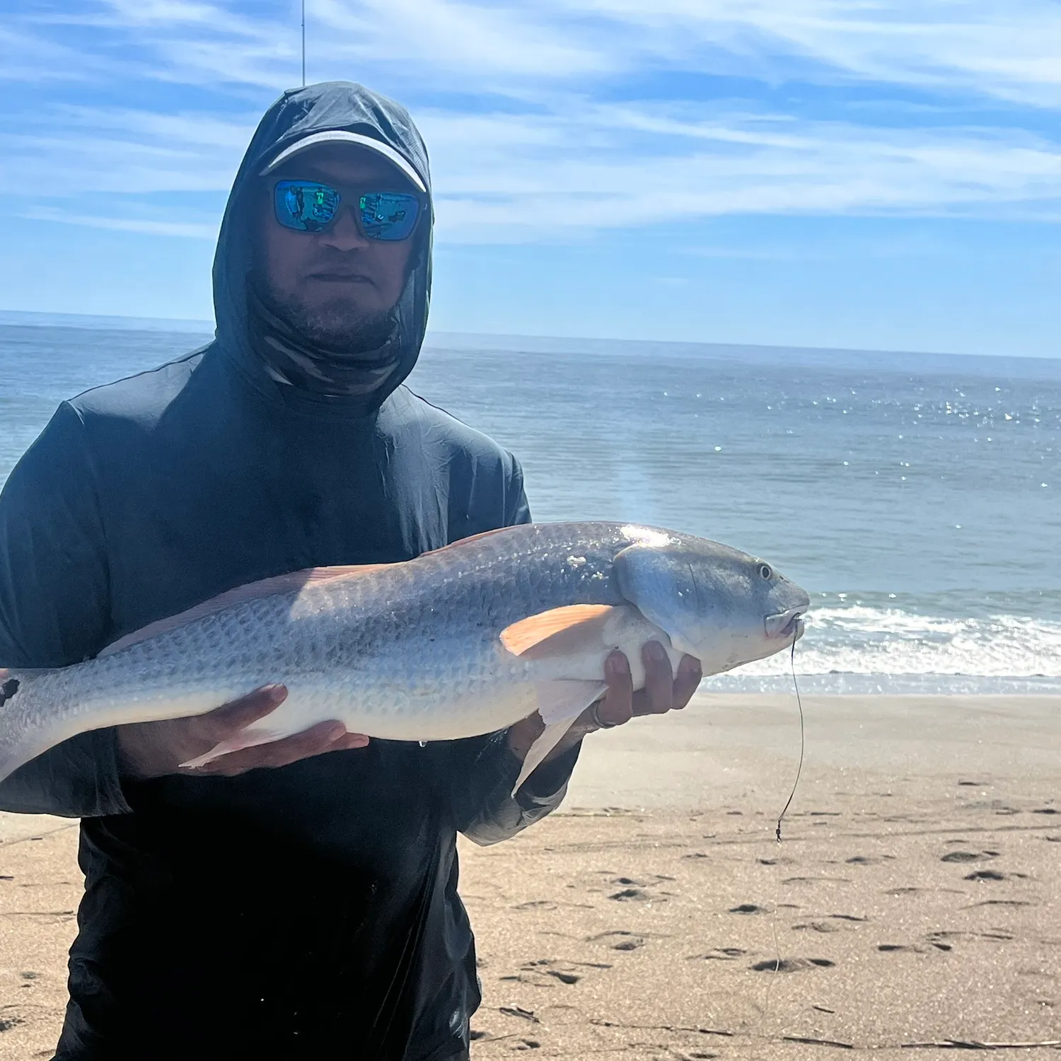 Red drum caught on Fishbrain