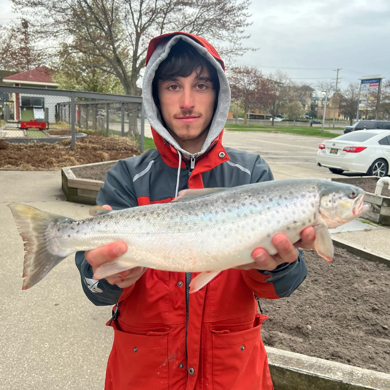 most liked catch image