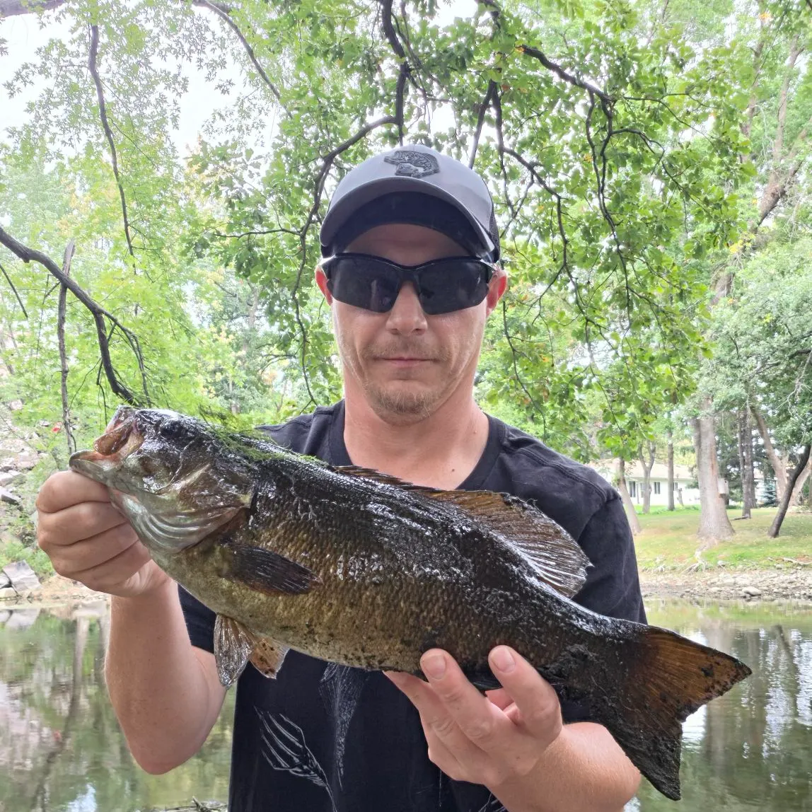Smallmouth bass caught on Fishbrain