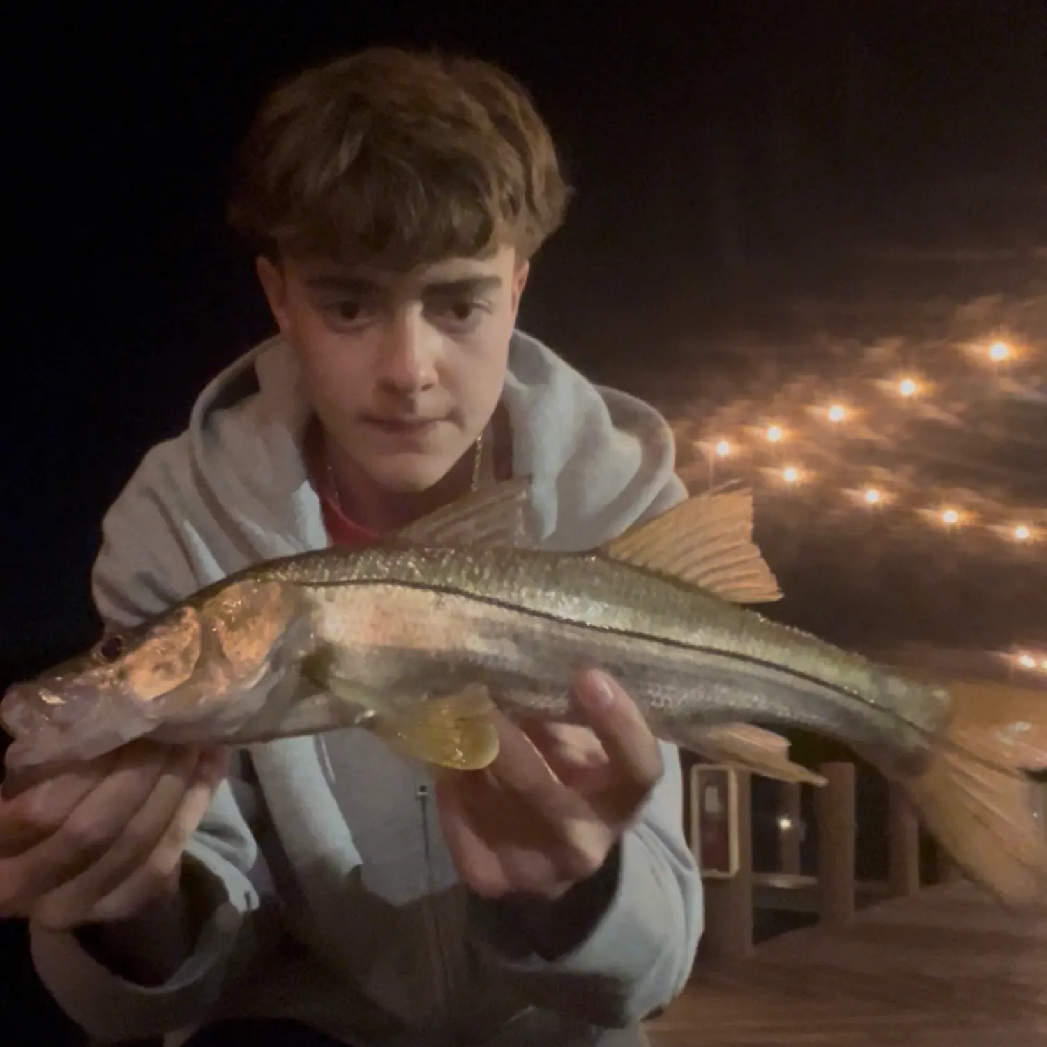 The most recent Common snook catches on Fishbrain