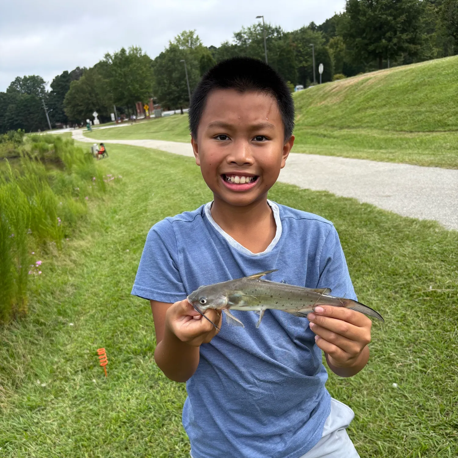 Channel catfish caught on Fishbrain