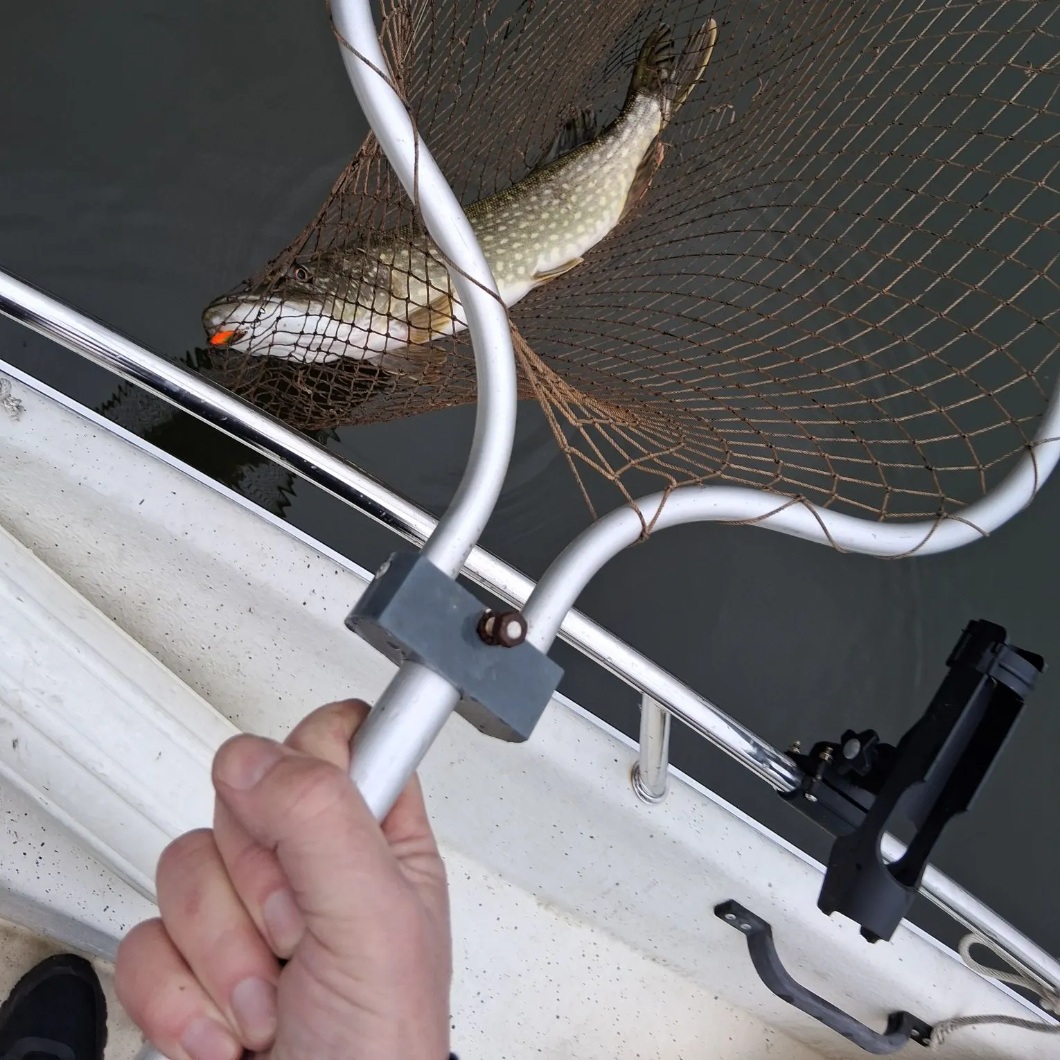 Northern pike caught on Fishbrain