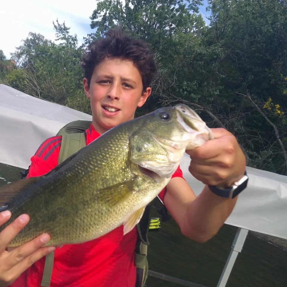 Largemouth bass caught on Fishbrain