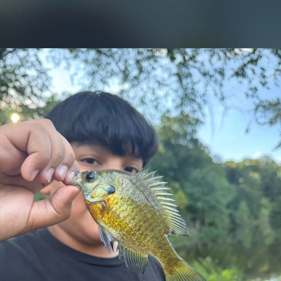 The most recent Redear sunfish catches on Fishbrain