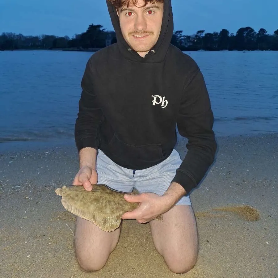 The most recent European plaice catches on Fishbrain