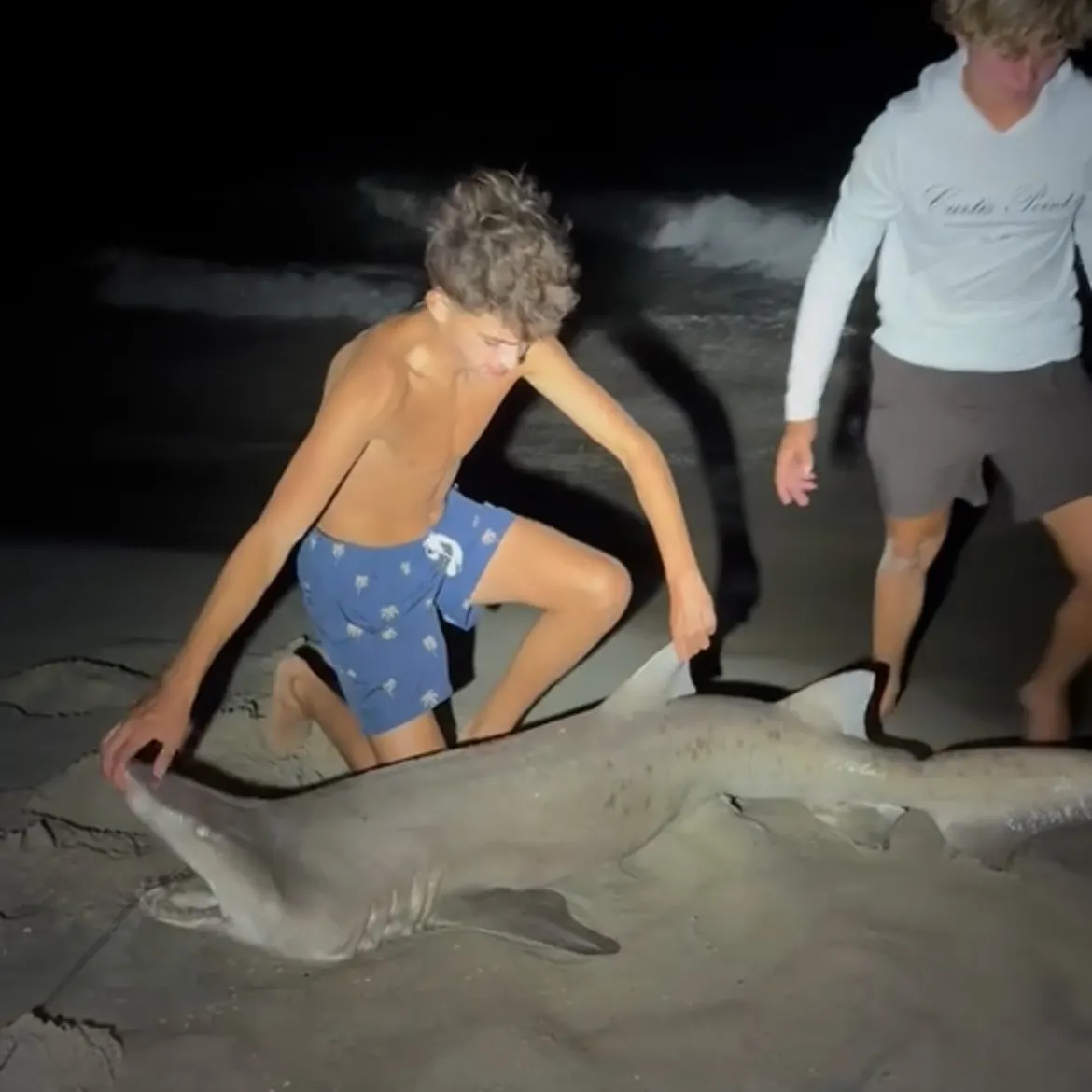 Sand tiger shark caught on Fishbrain