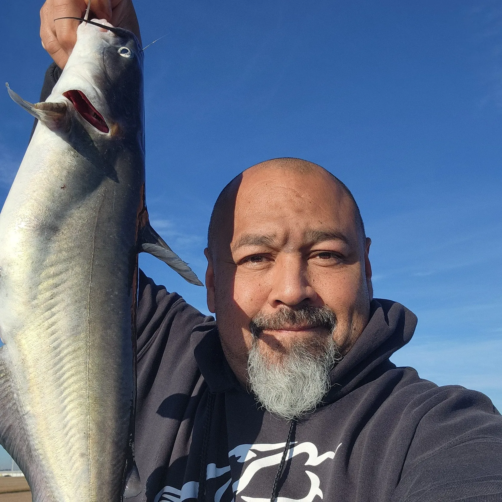 Blue catfish caught on Fishbrain