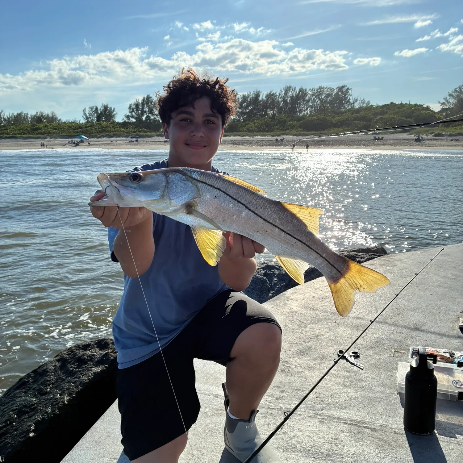 Common snook caught on Fishbrain