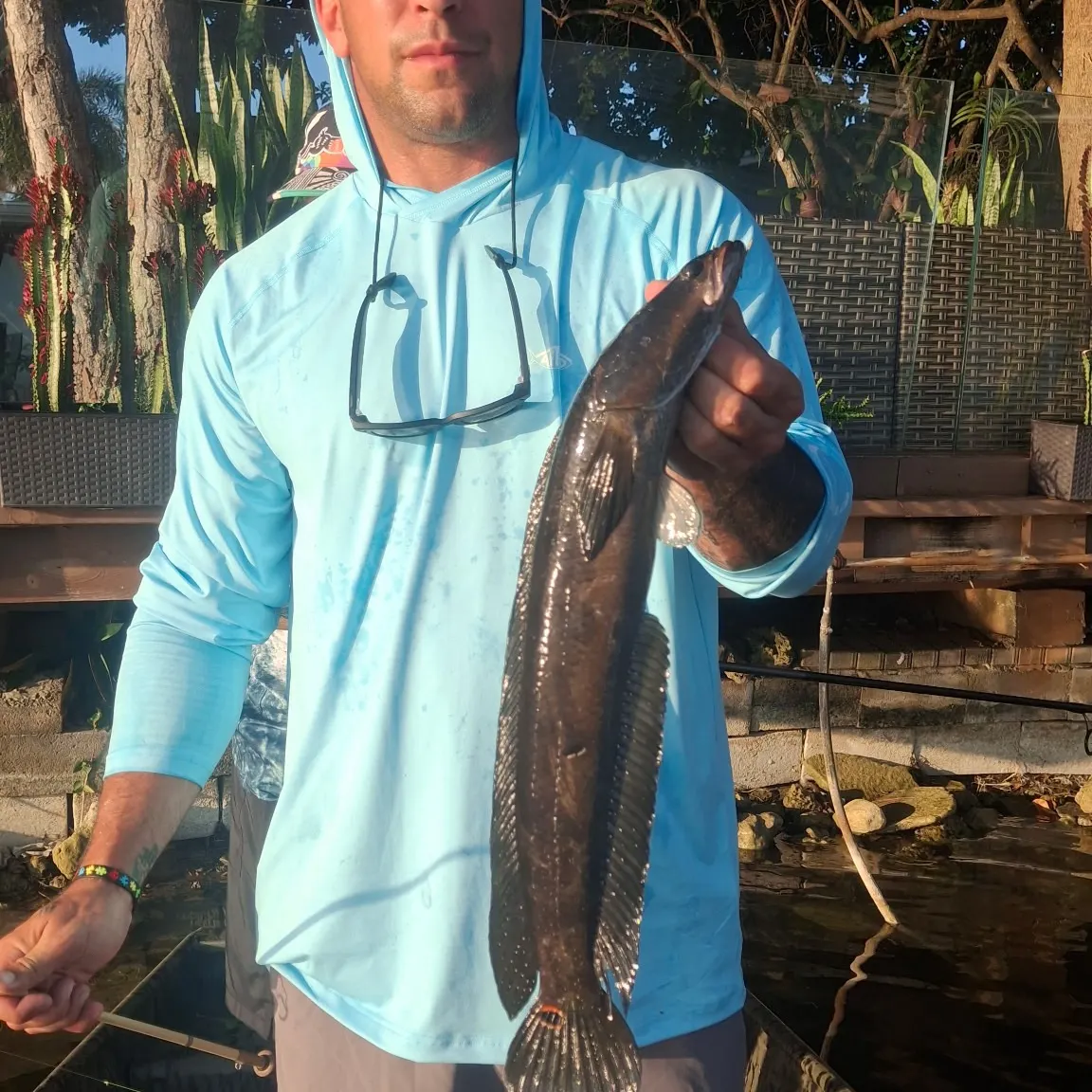The most recent Bullseye snakehead catches on Fishbrain