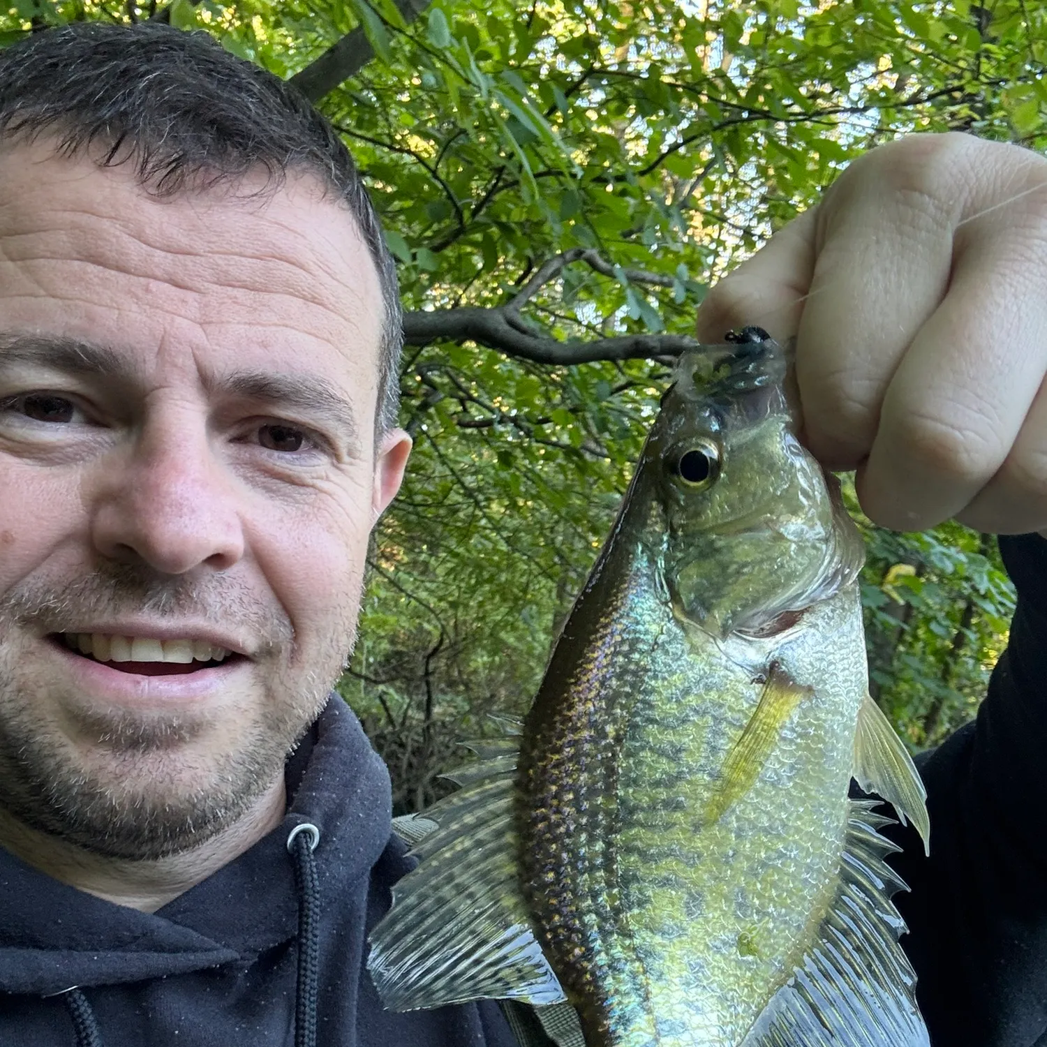 Black crappie caught on Fishbrain