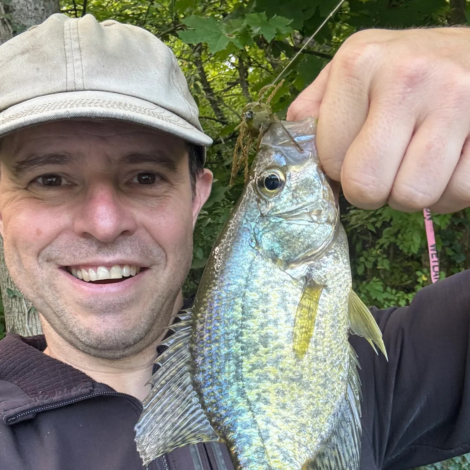 Black crappie caught on Fishbrain