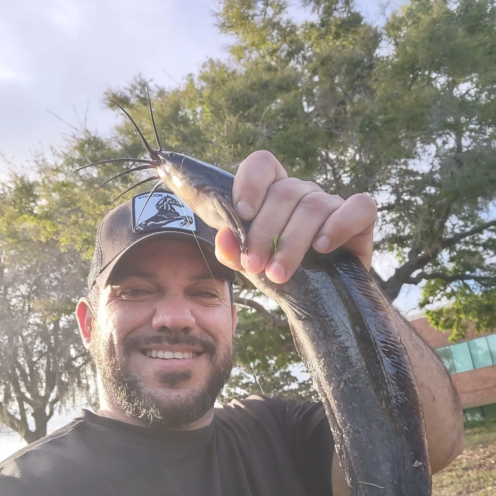 The most recent Walking catfish catches on Fishbrain