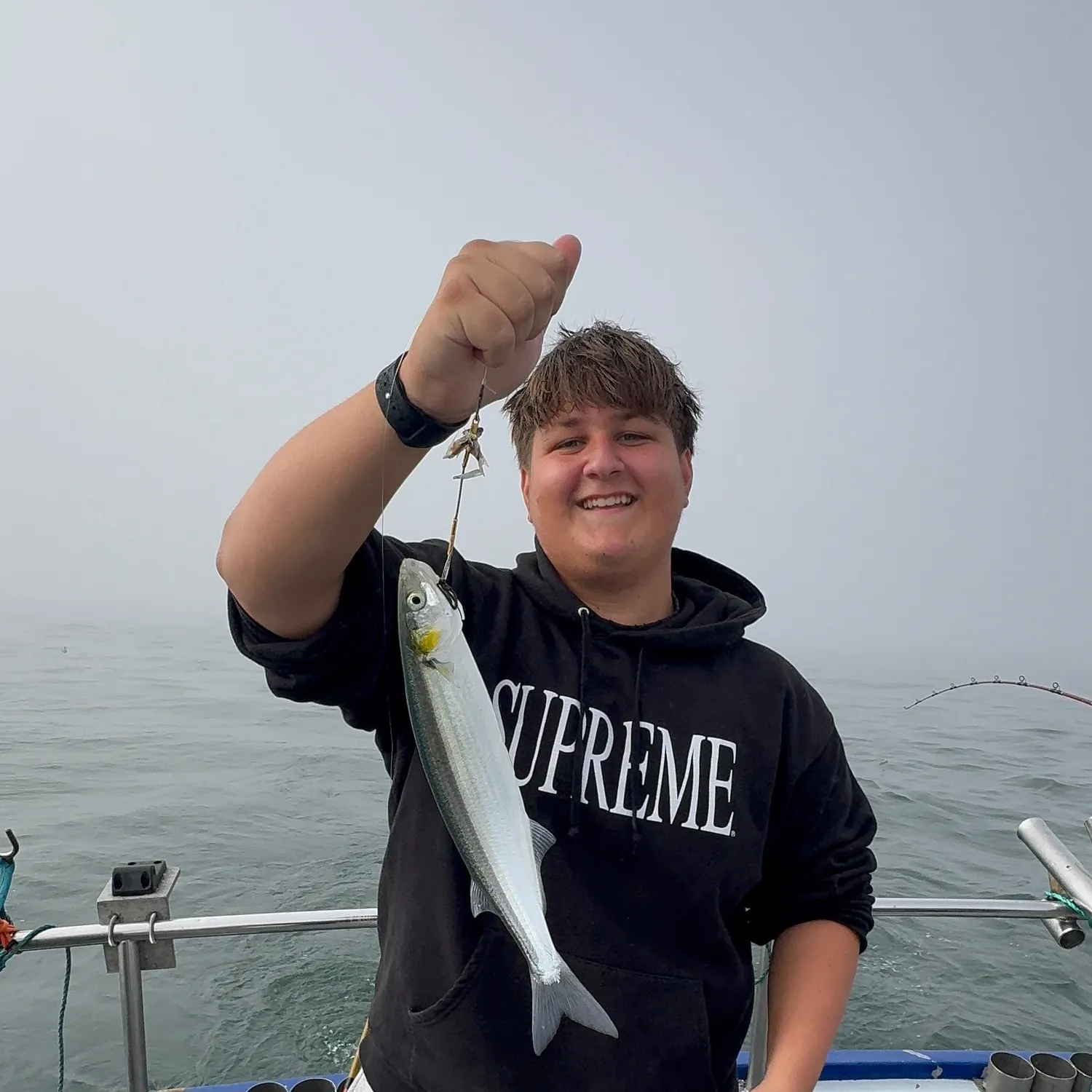 Jack silverside caught on Fishbrain