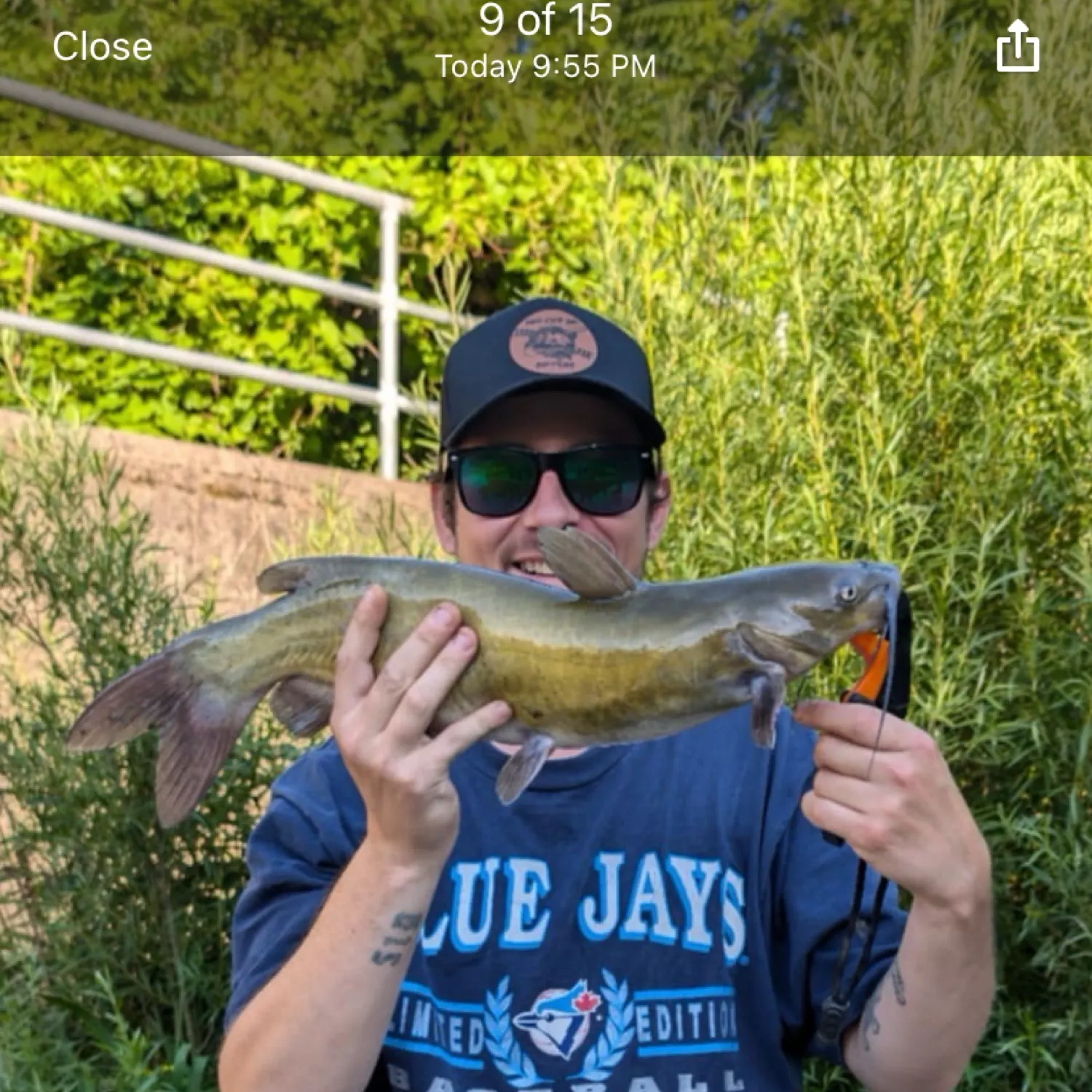 recently logged catches