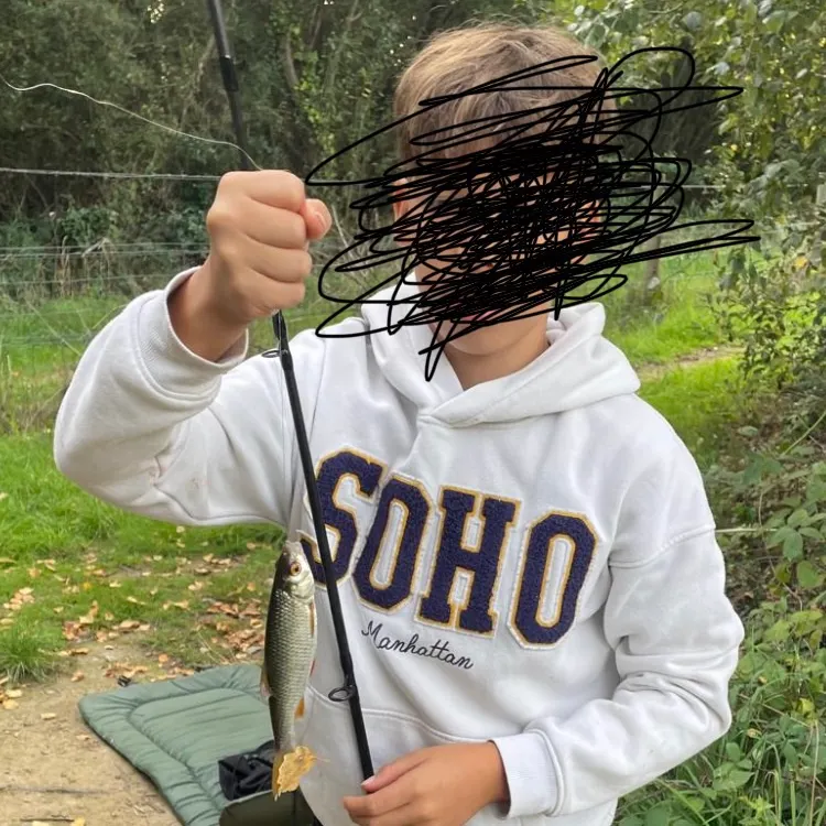 Common roach caught on Fishbrain
