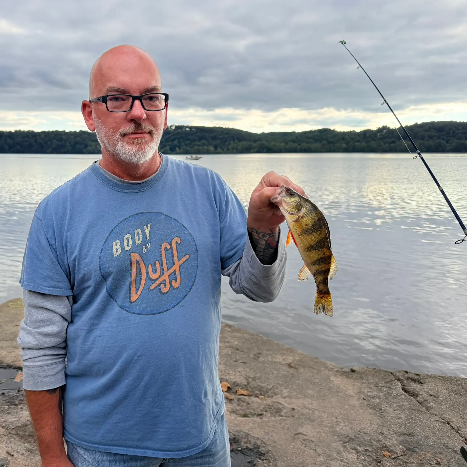 Yellow perch caught on Fishbrain