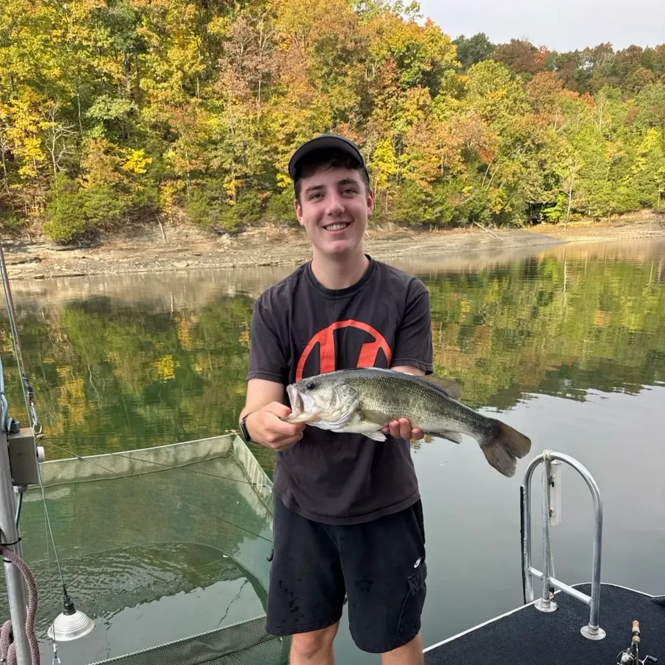 Largemouth bass caught on Fishbrain