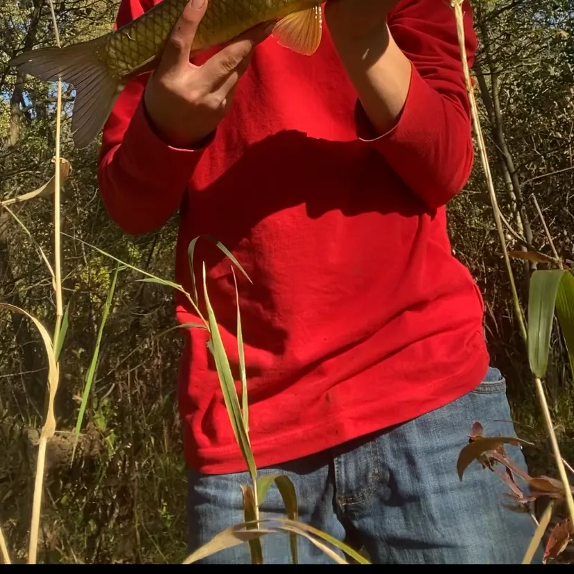 Golden redhorse caught on Fishbrain