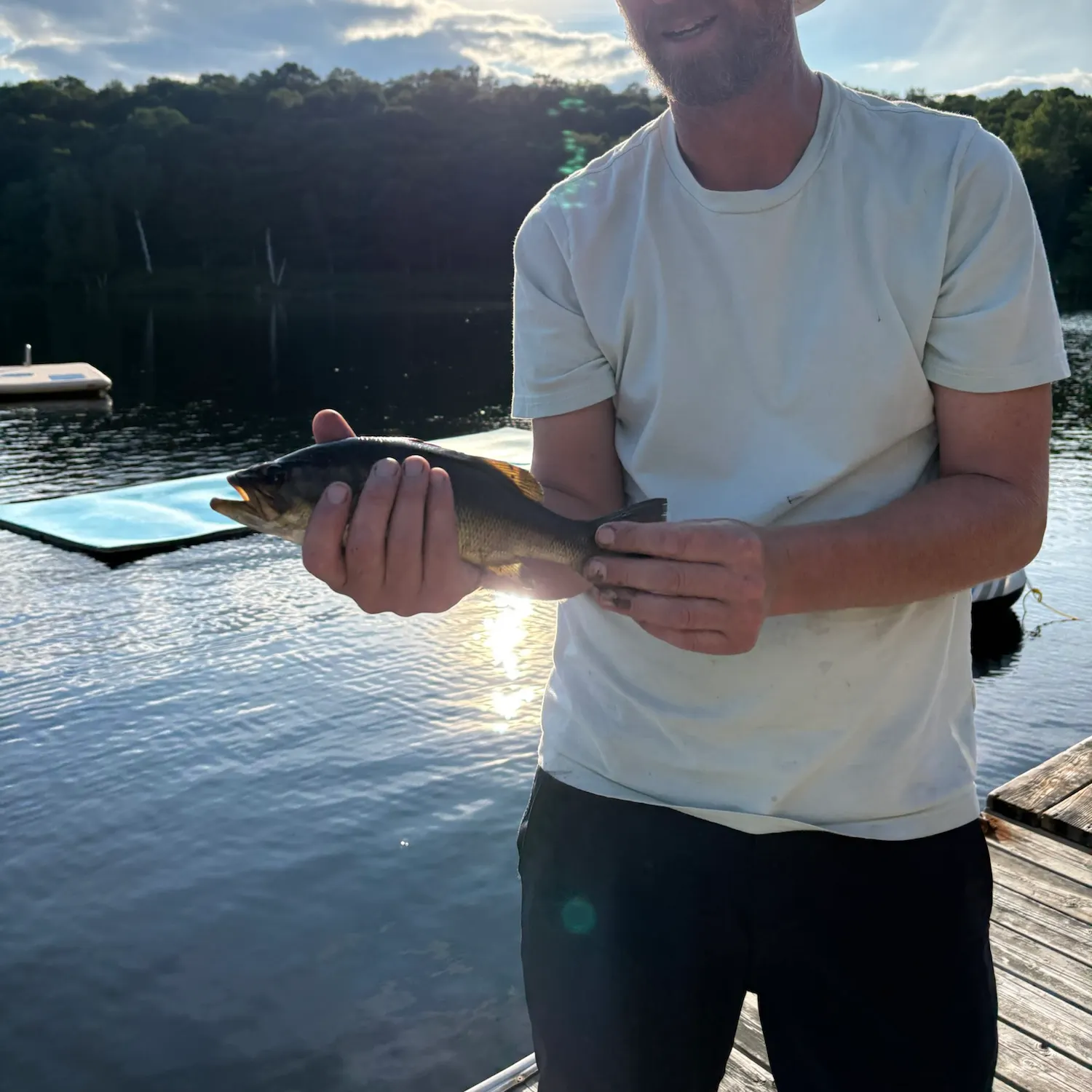 Smallmouth bass caught on Fishbrain