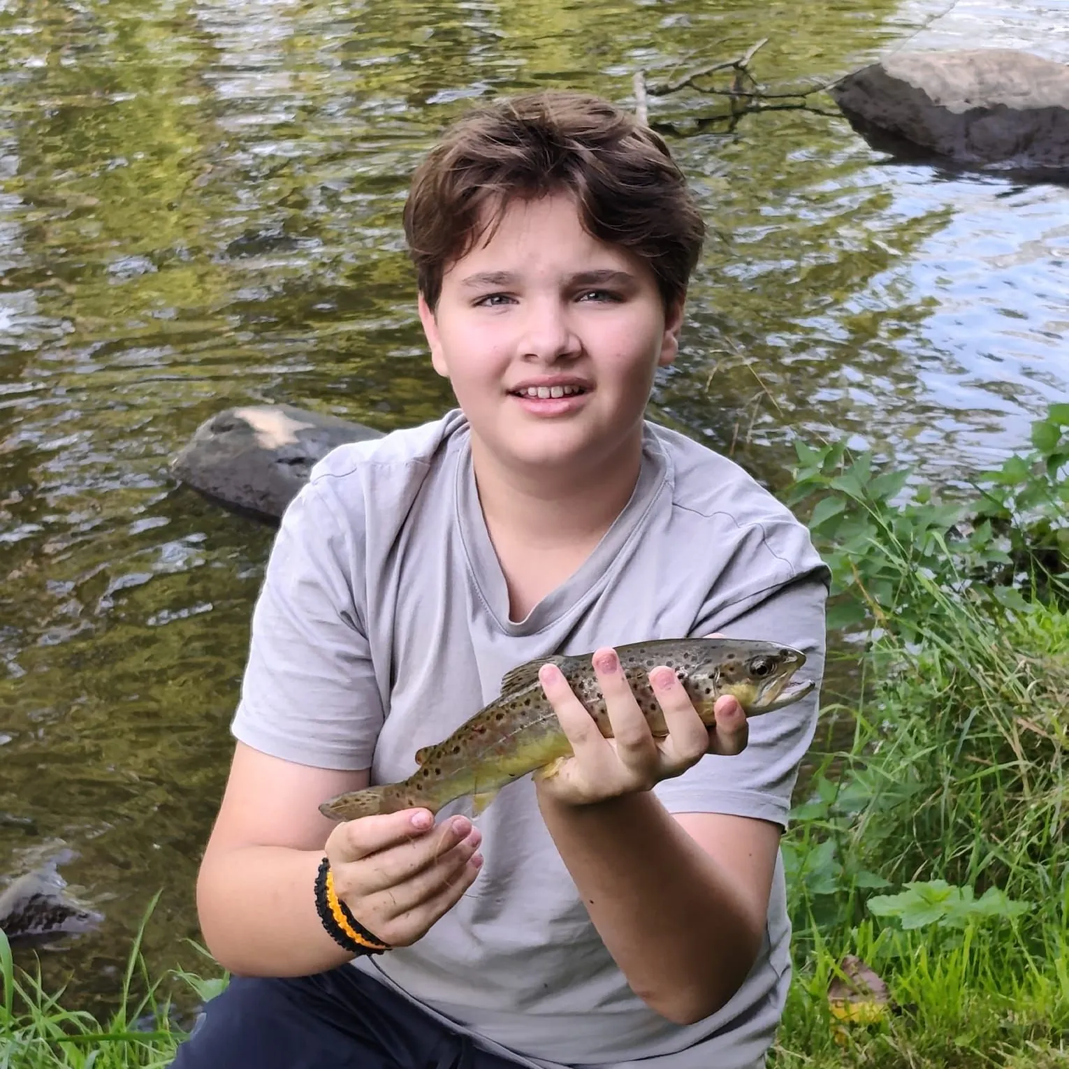 The most recent Lake trout catches on Fishbrain