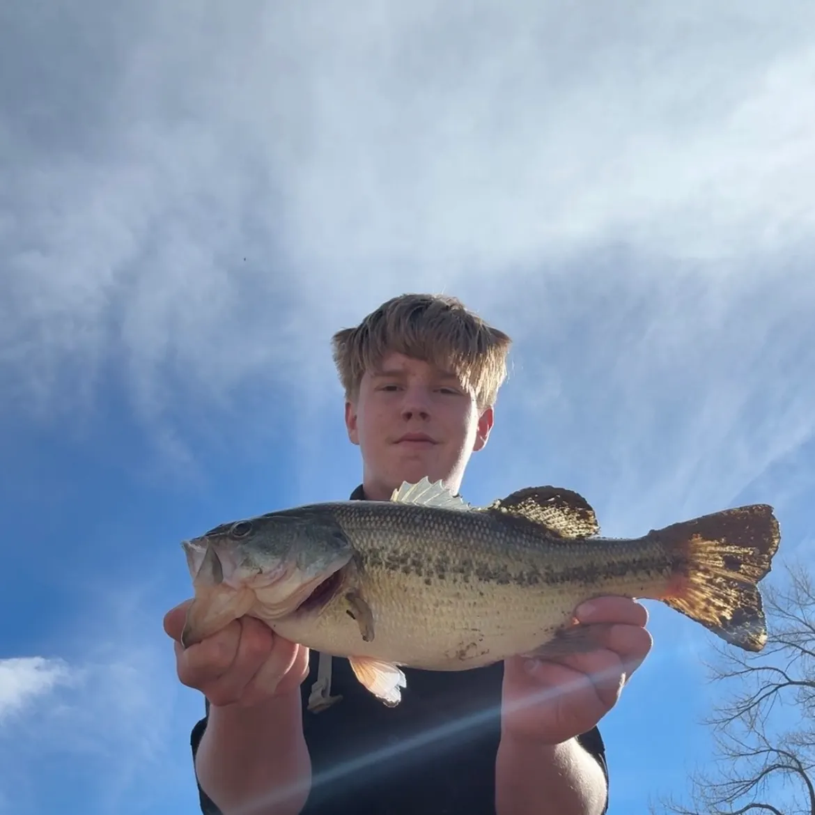 The most recent Largemouth bass catches on Fishbrain