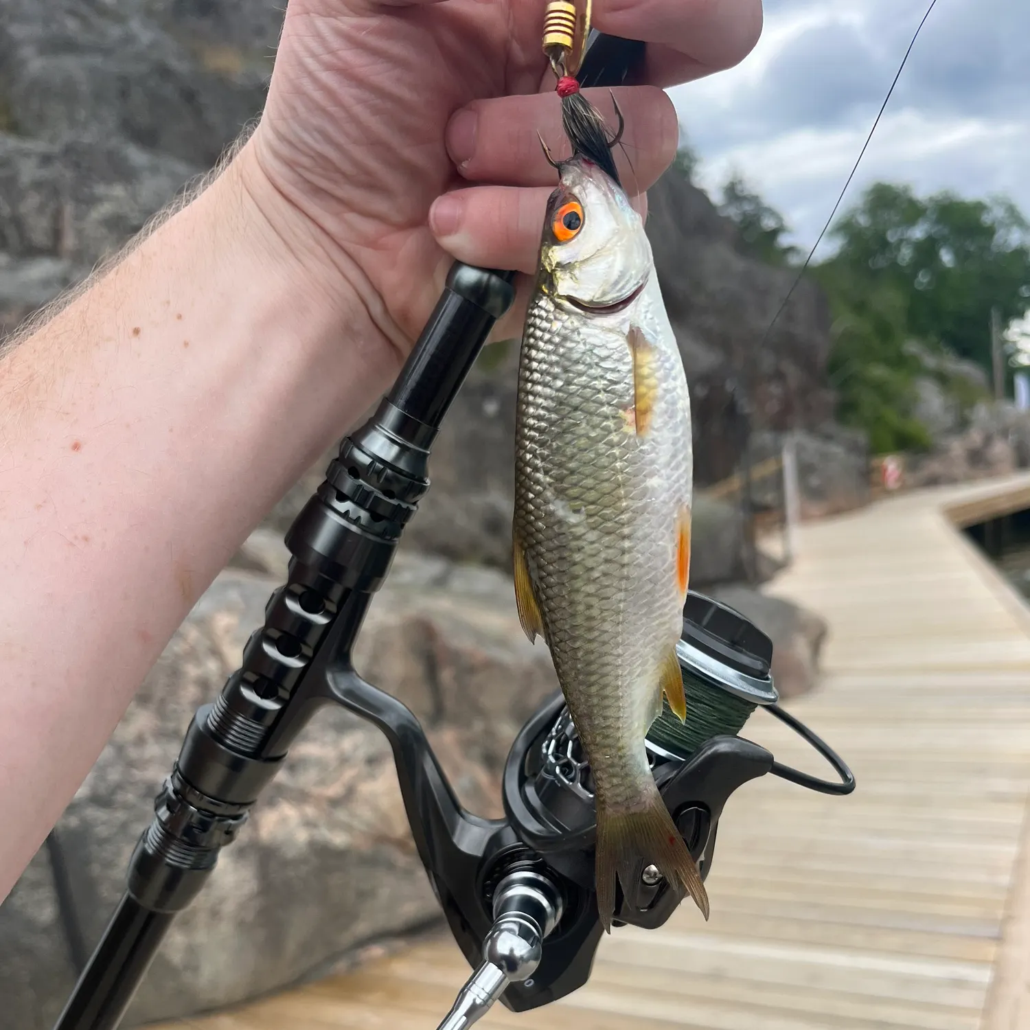 catch