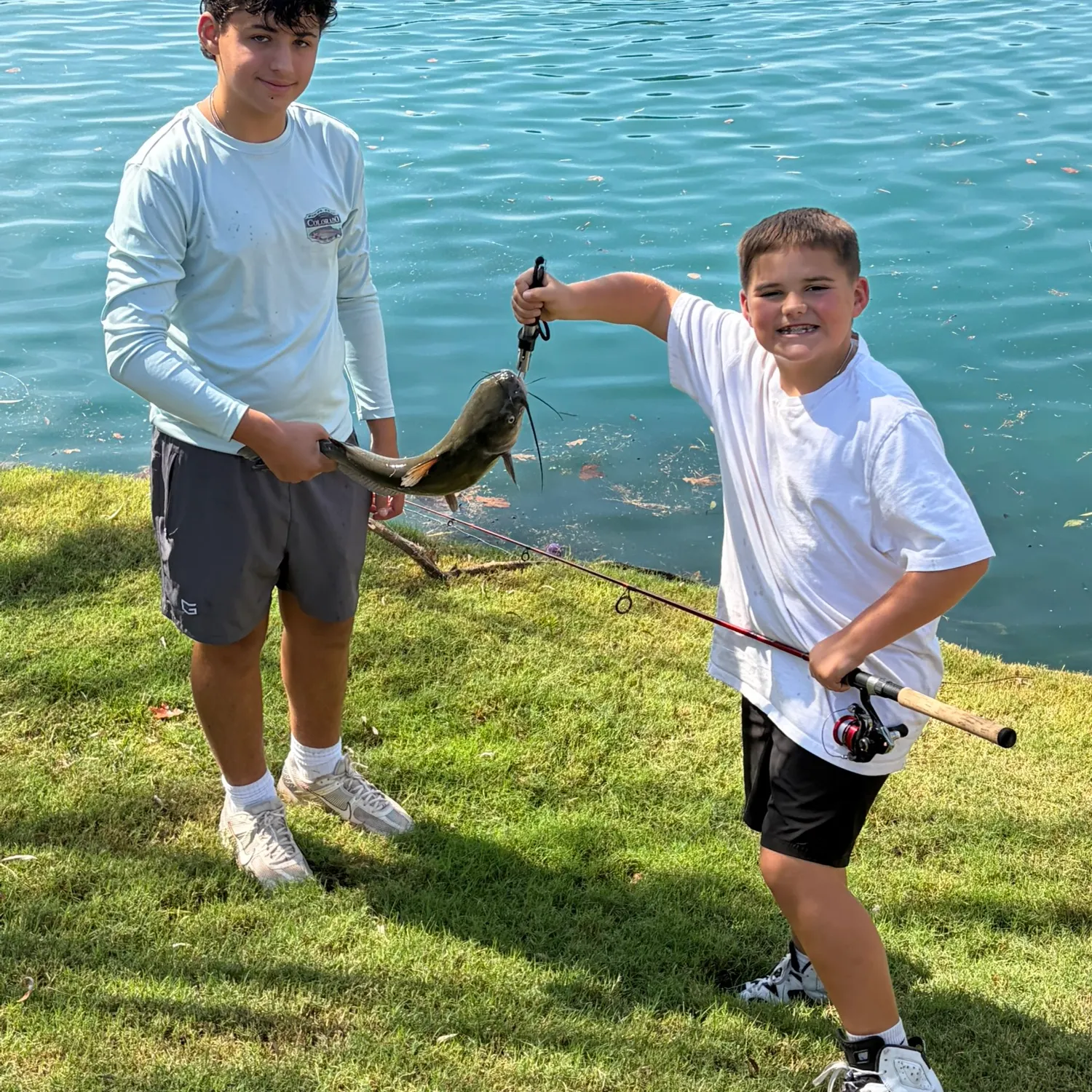 Channel catfish caught on Fishbrain