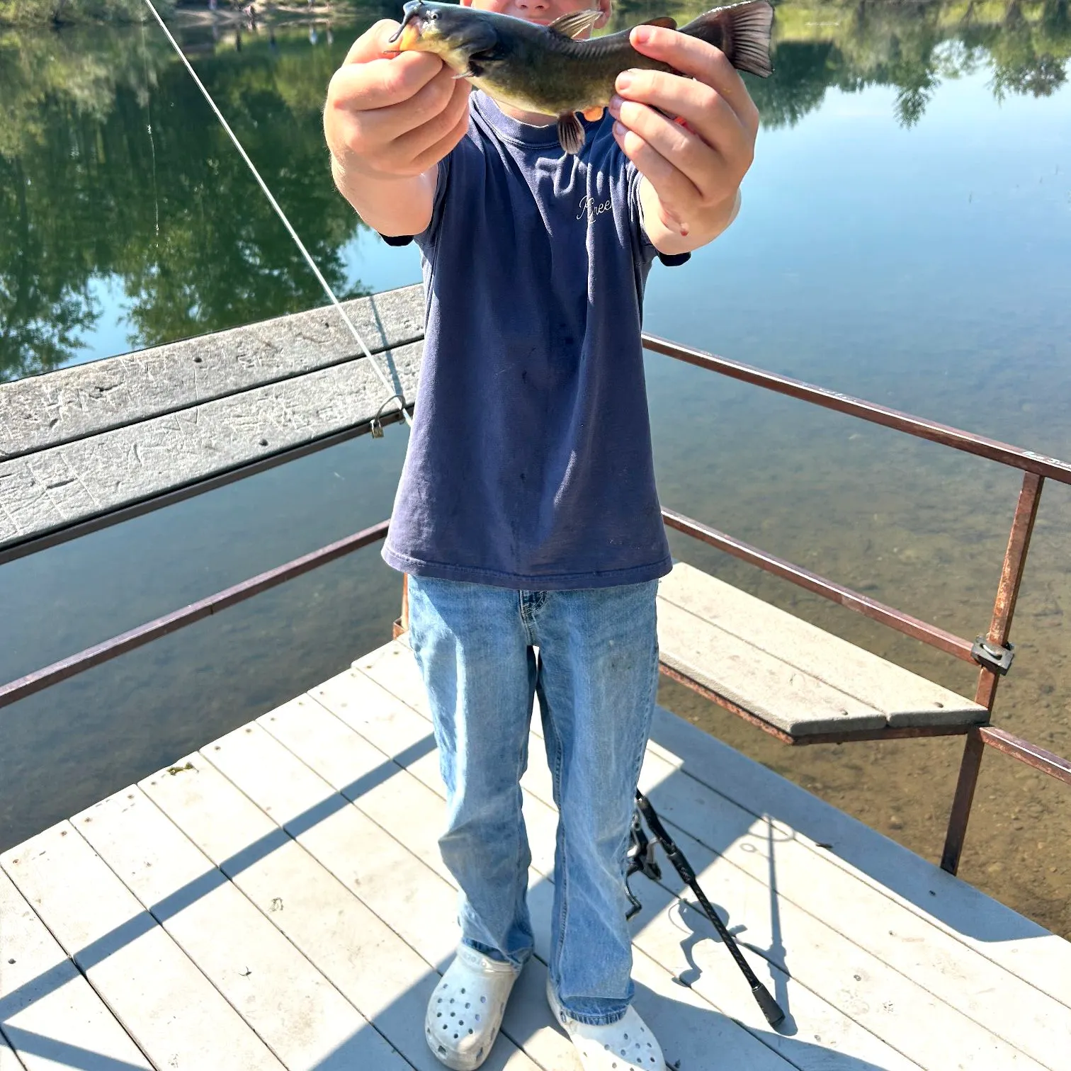 Black bullhead caught on Fishbrain