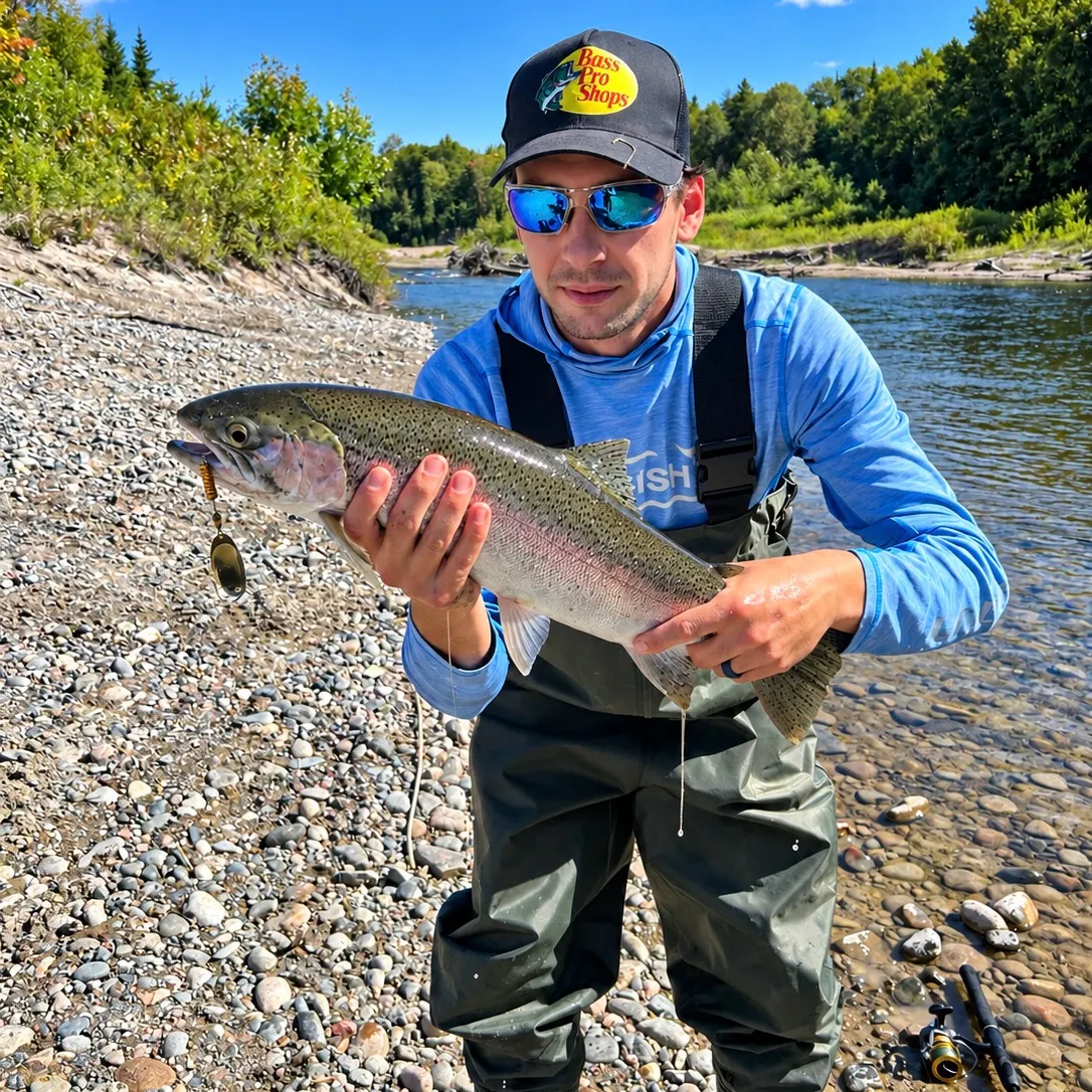 Steelhead caught on Fishbrain