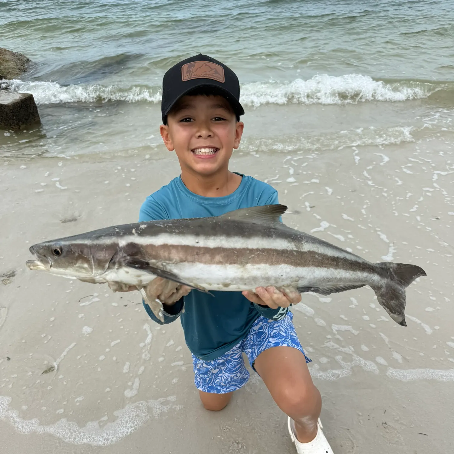 The most recent Cobia catches on Fishbrain