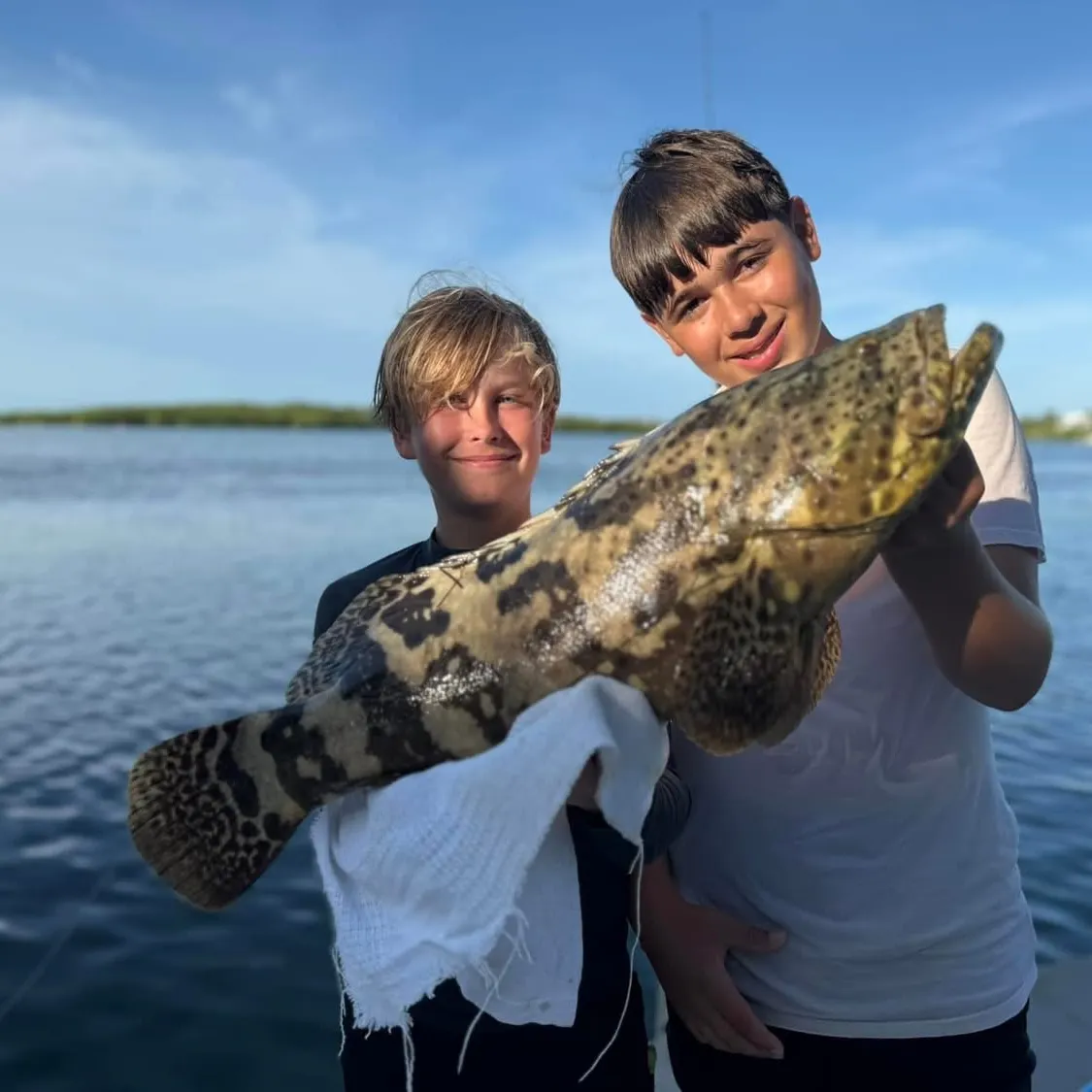 The most recent Pacific goliath grouper catches on Fishbrain