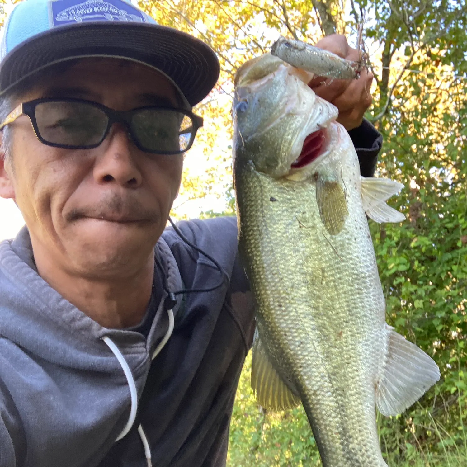 Largemouth bass caught on Fishbrain