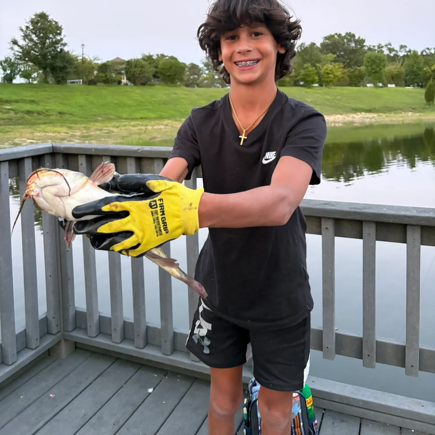 Brown bullhead caught on Fishbrain