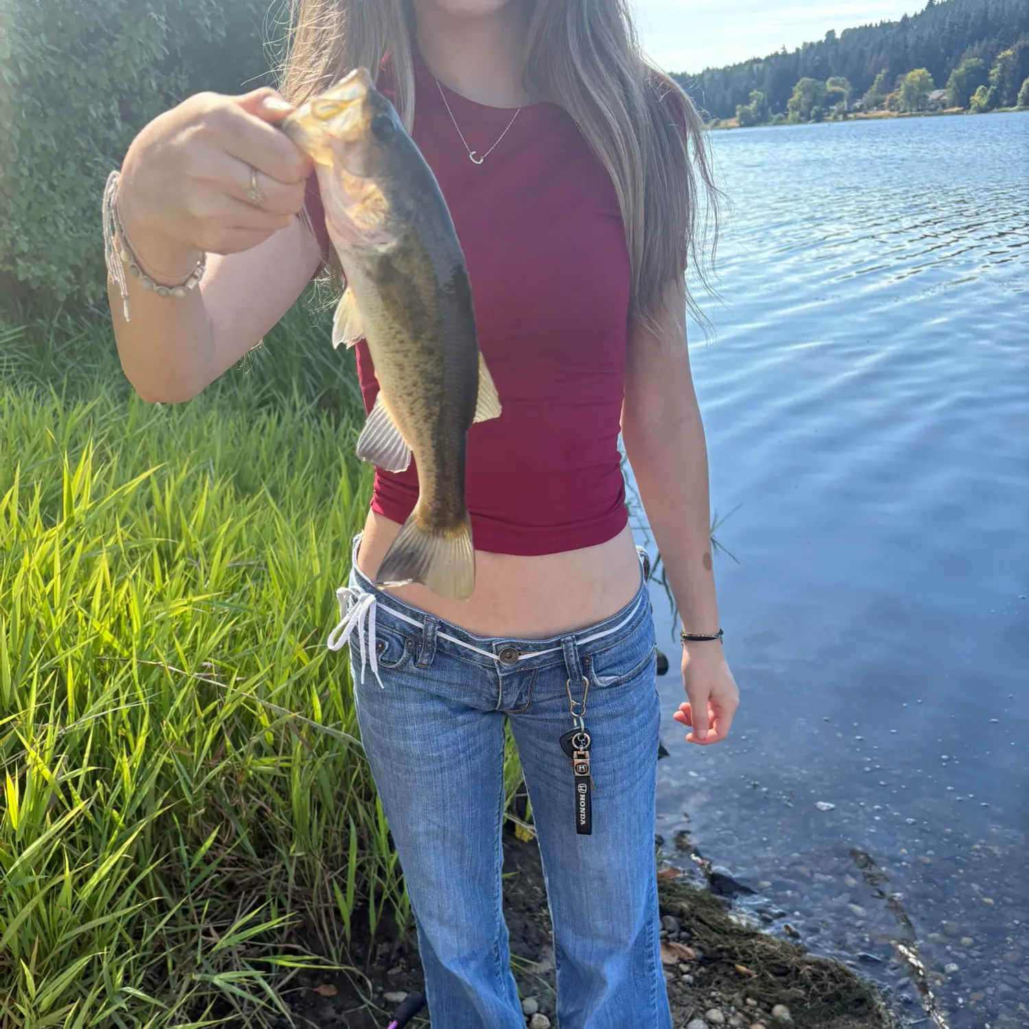 Largemouth bass caught on Fishbrain