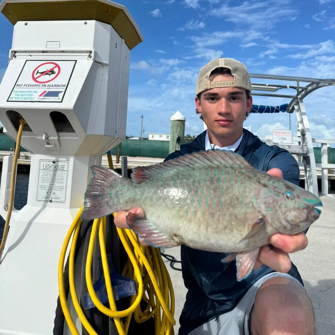 The most recent Common parrotfish catches on Fishbrain
